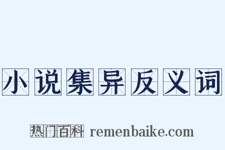 小说集异反义词是什么意思的图片